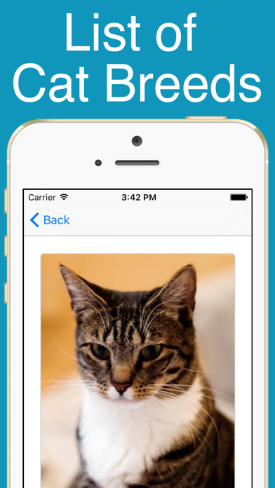 Screenshot #1 pour World Cats!