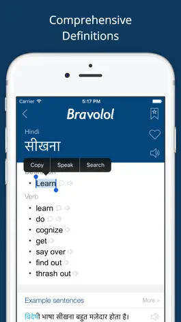 Game screenshot Hindi English Dictionary Pro apk