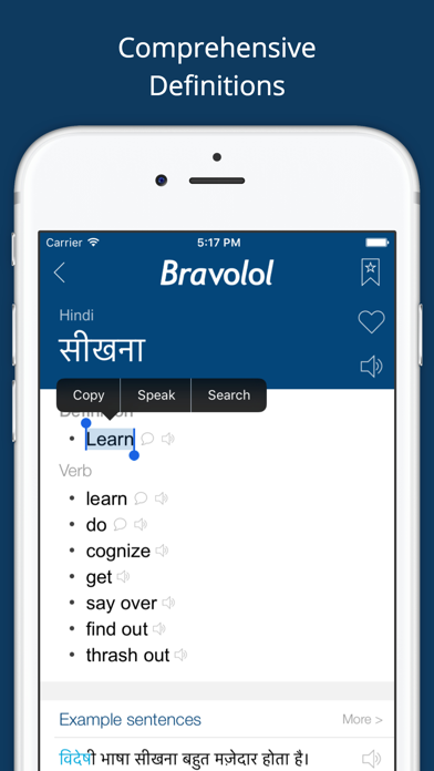 Screenshot #2 pour Hindi English Dictionary Pro