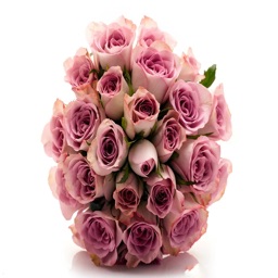 中国鲜花速递网.