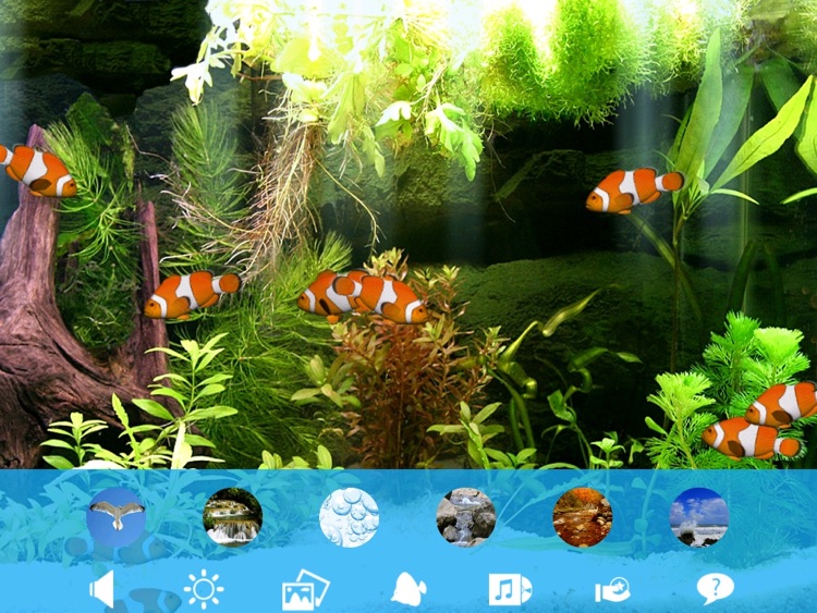 Aquarium Now HD screenshot-4