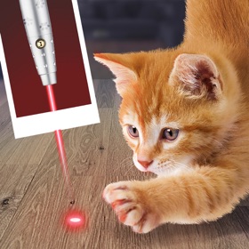 螢幕擷取畫面 (3) Laser Point For Cat Joke