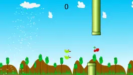 Game screenshot Hungry Parrot mod apk
