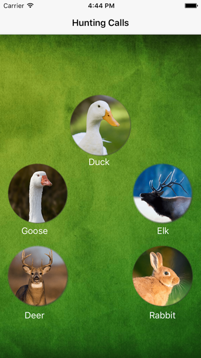 Screenshot #2 pour Hunting Calls 2016
