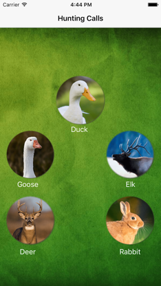 Hunting Calls 2016 screenshot 2