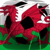 Penalty Soccer Football: Wales - For Euro 2016 3E