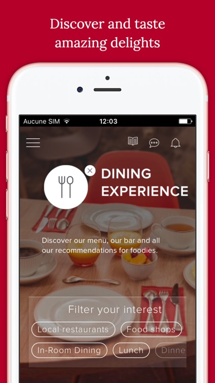 Hotel de Lille screenshot-3