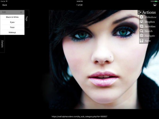 Screenshot #6 pour Photofile - Web image browser et photo downloader