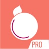 StylePlum Pro