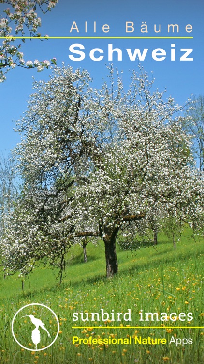 Alle Bäume Schweiz - 1000 Baumarten und Sträucher bestimmen + alle Parkbäume und Ziersträucher identifizieren