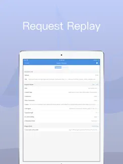 Stream - Network Debug Tool iPad image 2