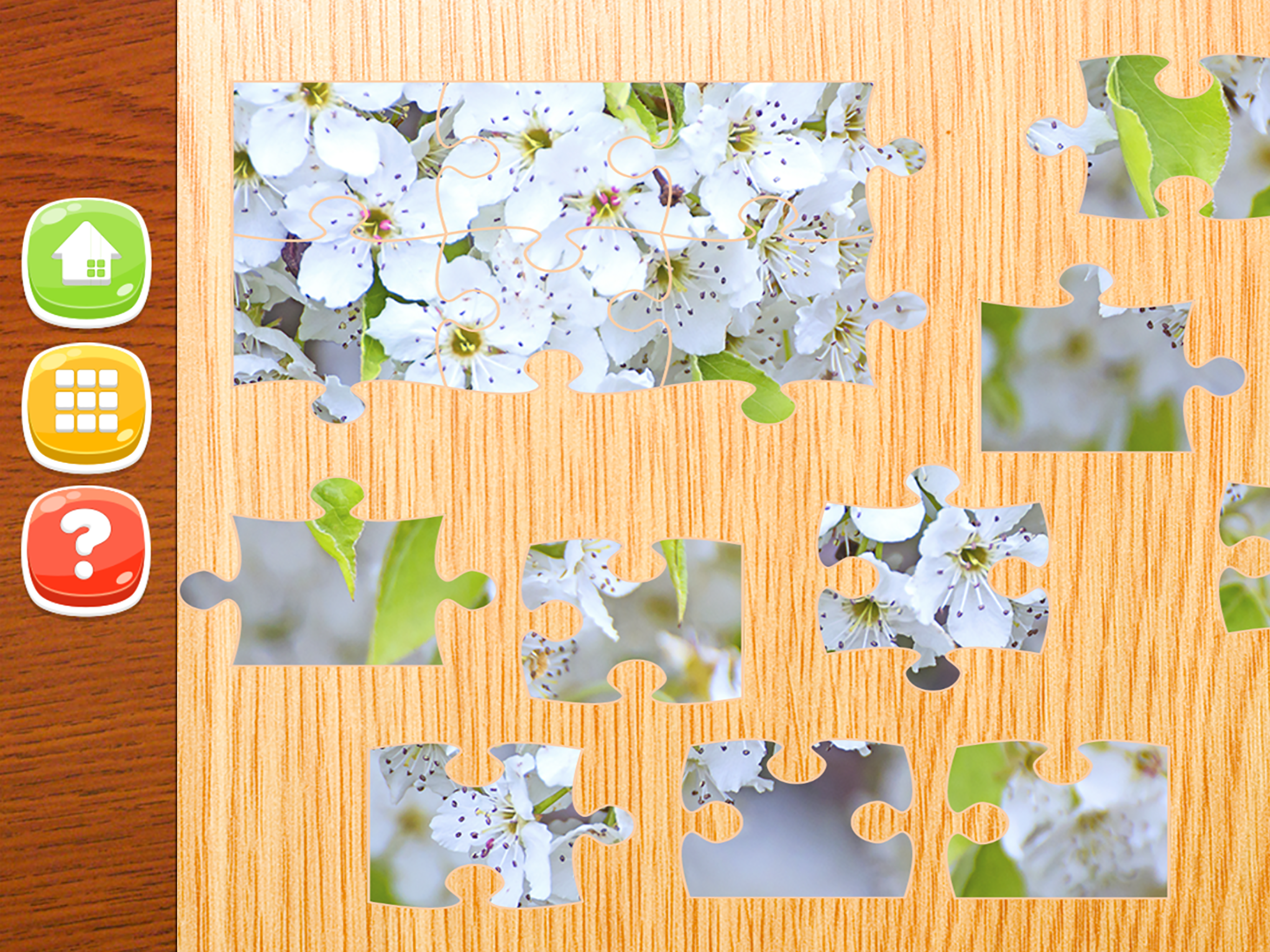 Flower Jigsaw Puzzle HD - New Jigsaw Games for Kids and Adults