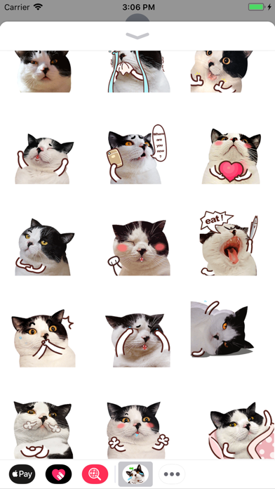 Katty Animated Stickers screenshot 2