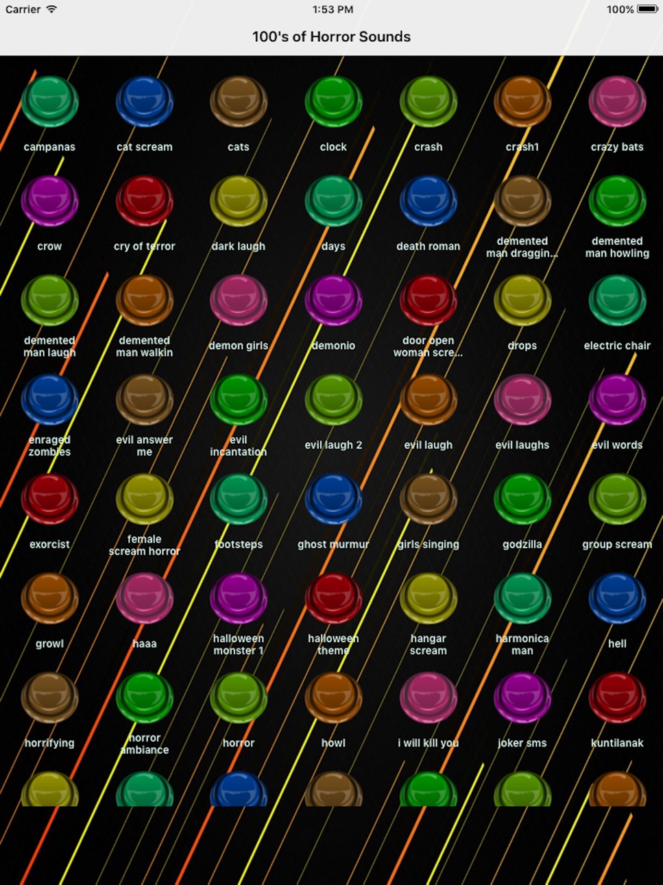 iPad screenshot