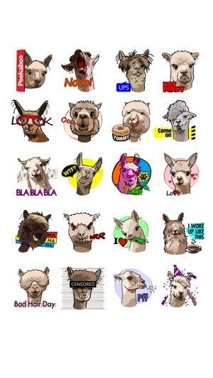 Alpaca Family