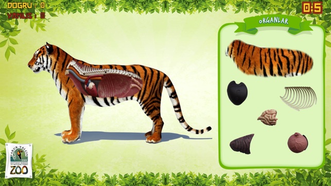 FyZoo Anatomy(圖3)-速報App