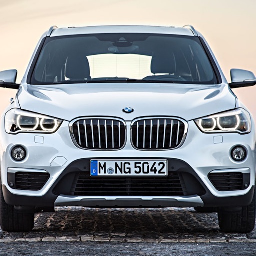 Specs for BMW X1 F48 2015 edition