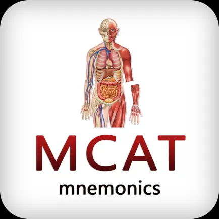 MCAT Mnemonics Cheats