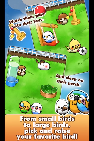 BirdLife -Cute Bird Game- screenshot 4