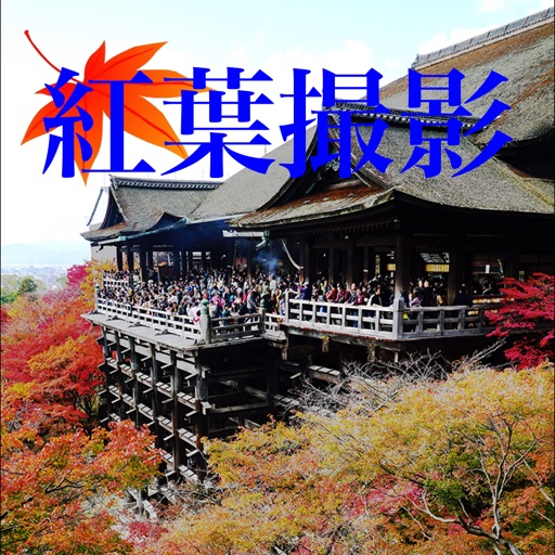 紅葉撮影 notepad