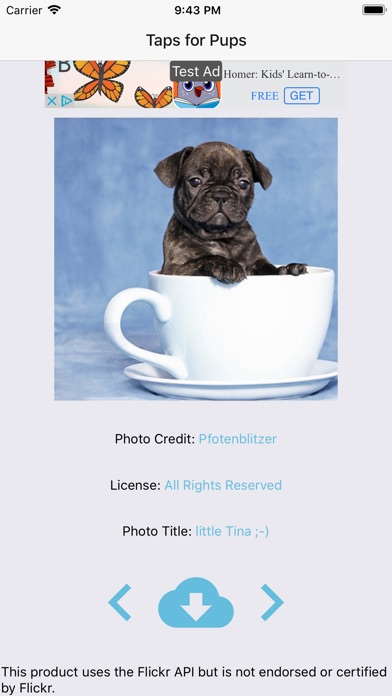 TapsForPups: Cute Dog Pictures screenshot 3