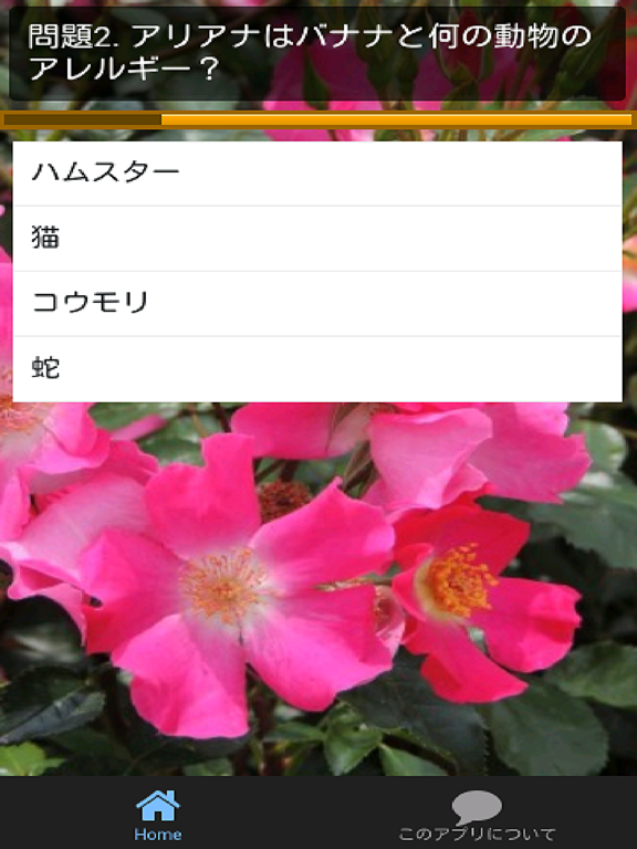 Screenshot #6 pour クイズforアリアナグランデ　日本語版　洋楽女性歌手ポップファン