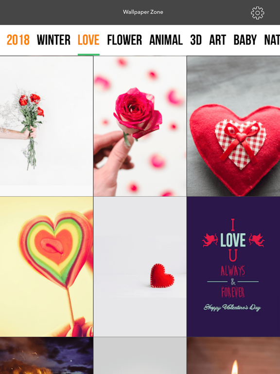 Wallpaper Zone iPad screenshot 3 - Productivity app