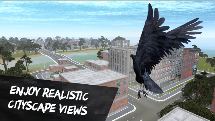 City Crow Simulator 3D Full