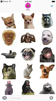 funny animals memes stickers pack for imessage problems & solutions and troubleshooting guide - 2