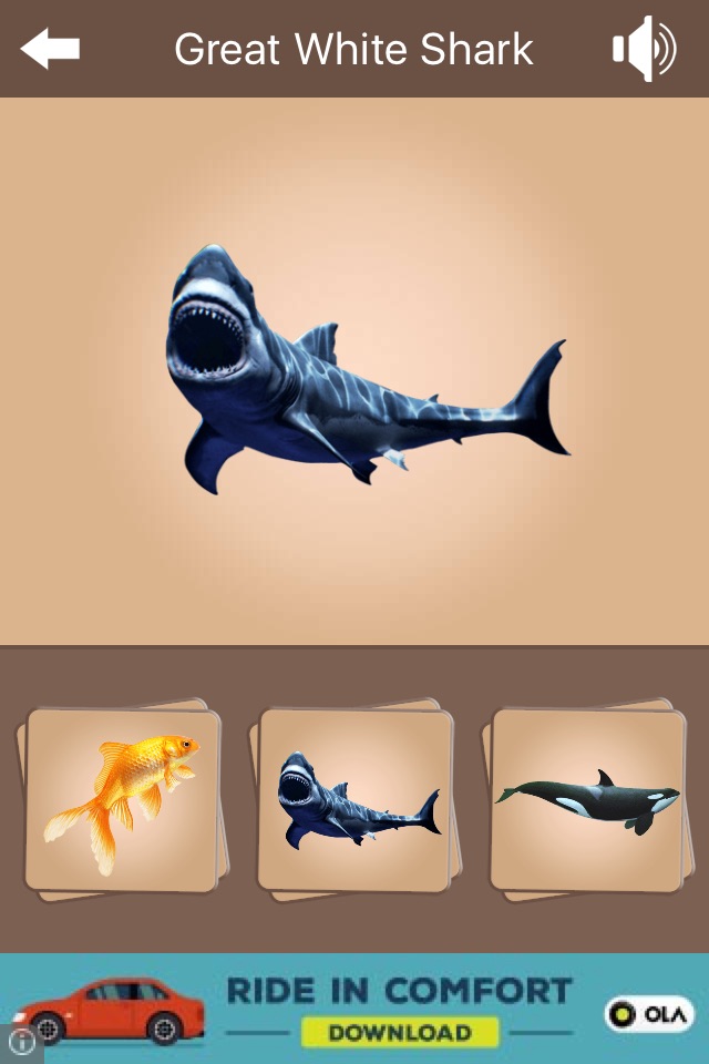 Kids Zoo - Vertebrates screenshot 4