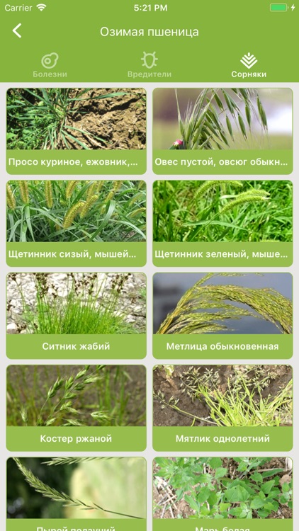 ADAMA Field Consultant screenshot-5