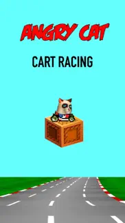 angry cat cart racing iphone screenshot 1