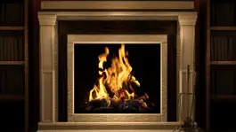 Game screenshot Amazing Fireplaces mod apk