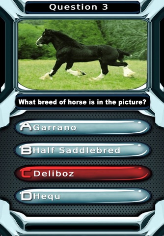 My Horse & Pony Breeds Quiz screenshot 2