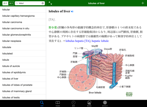 ステッドマン医学大辞典 改訂第６版のおすすめ画像4