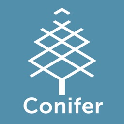 Conifer iCon