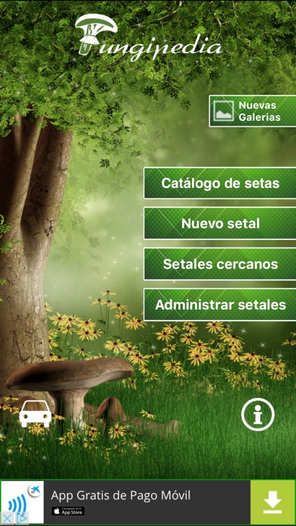Fungipedia Lite