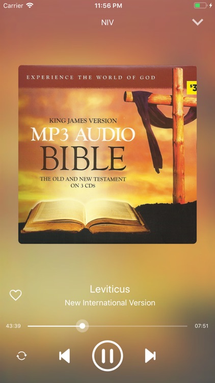 NIV Bible