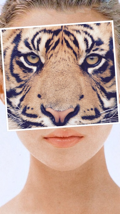 PieceFoto