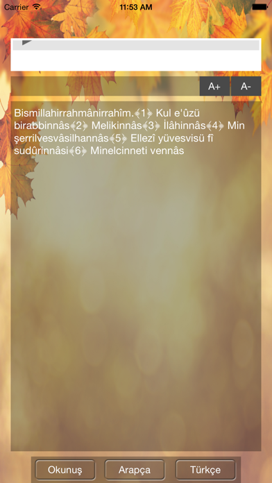 Screenshot #1 pour Nas Suresi