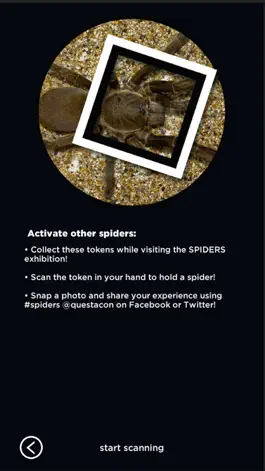 Game screenshot SPIDERS AR apk