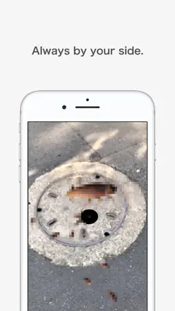 AR Cockroach screenshot 3