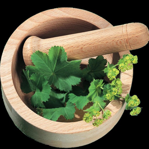 عطارباشی