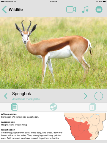 Screenshot #6 pour Sasol Wildlife for Beginners (Lite): Quick facts, photos and videos of 46 southern African animals