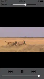 Sasol Mammals for Beginners (Lite): Quick facts, photos and videos of 46 southern African mammals screenshot #4 for iPhone