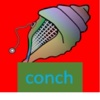 Magical Conch