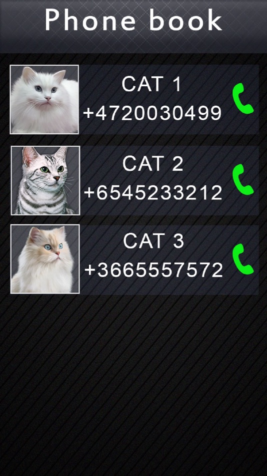 #3. Fake Video Call Cat (iOS) Podle: Mariya Ivanova