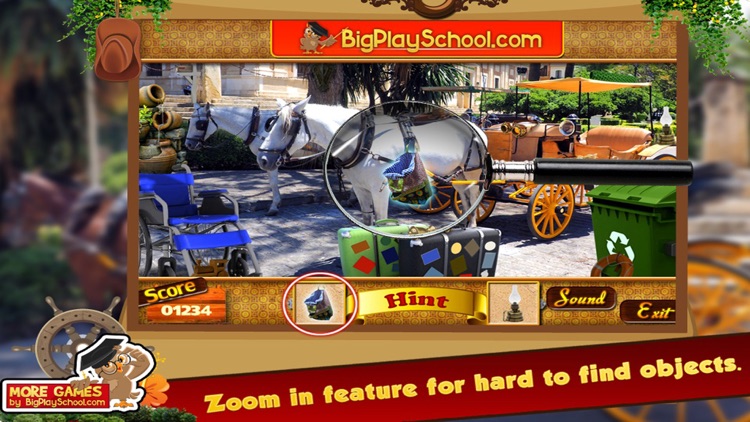 Horse Neigh Hidden Object Games screenshot-3