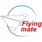 飞行伙伴(Flyingmate)，智能遥控纸飞机的手机控制App，小伙伴们快快下载！我们将以全新的角度改变玩具，设计出更好的可以一起玩儿的玩具，而这只是一个开始！