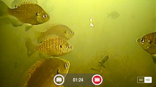 FishSens SondeCAM screenshot 3
